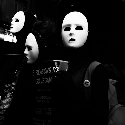 _DSF8283