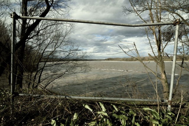 Image1