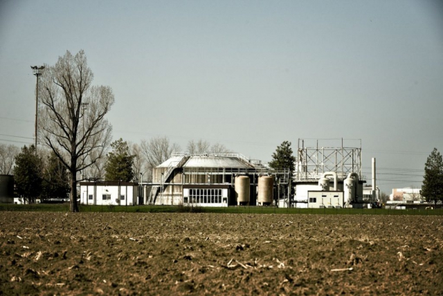 Image12