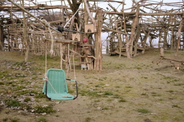 Image15