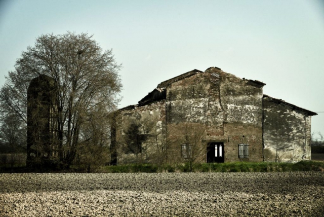 Image8